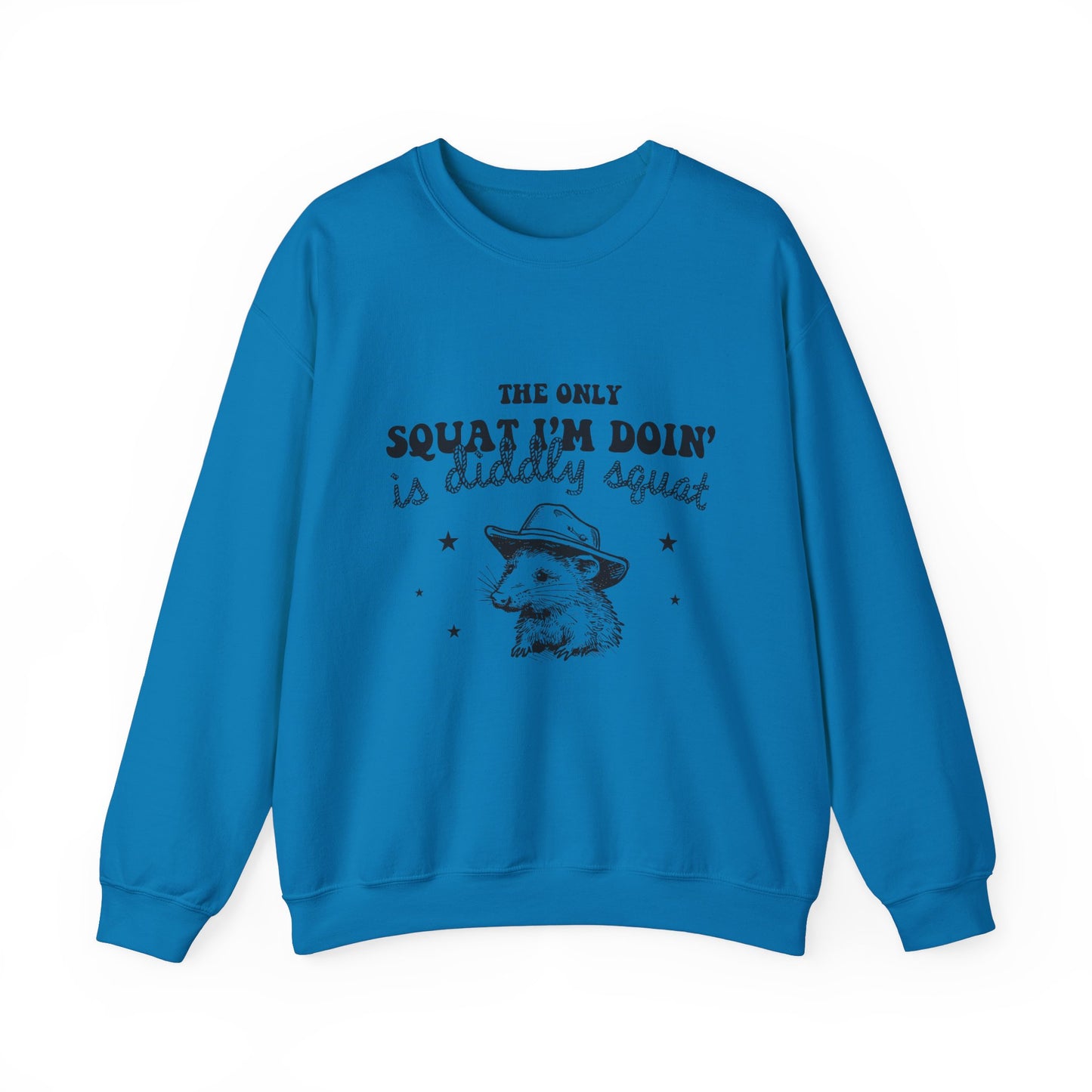 The Only Squat I'm Doing Is Diddly Squat Funny Sarcastic Sweatshirt