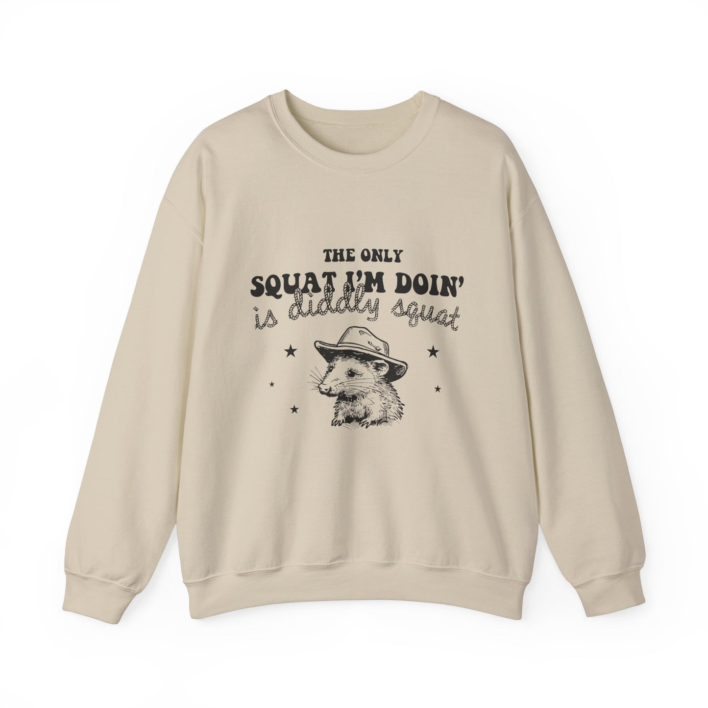 The Only Squat I'm Doing Is Diddly Squat Funny Sarcastic Sweatshirt