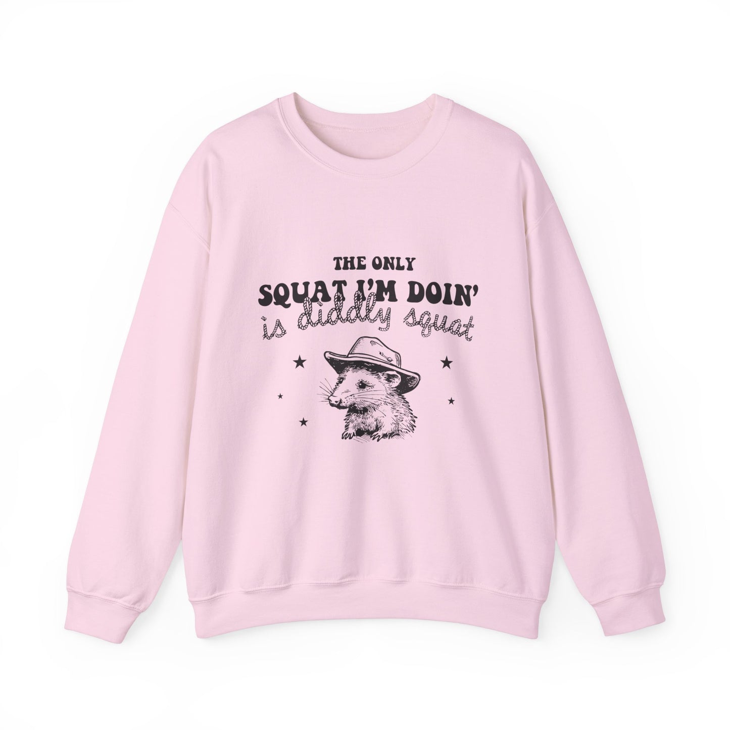 The Only Squat I'm Doing Is Diddly Squat Funny Sarcastic Sweatshirt